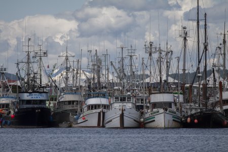 Vissersboten in de haven van Campbell River